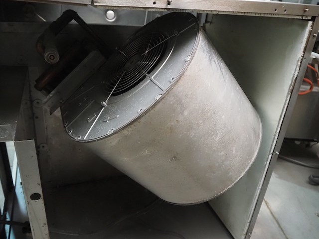 Meiko - afbeelding 27 van  27