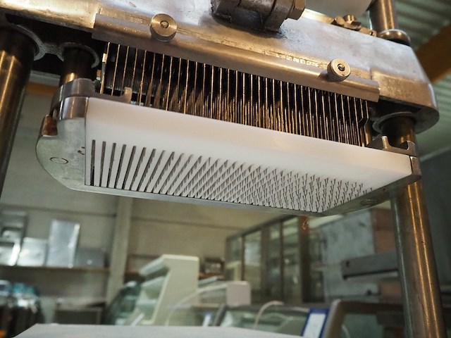 Melior-ganda - afbeelding 7 van  12