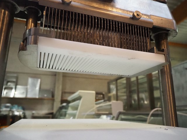 Melior-ganda - afbeelding 7 van  13