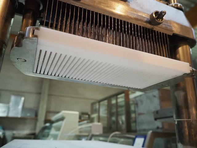 Melior-ganda - afbeelding 7 van  12