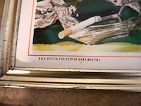 Mena pils glacoide - afbeelding 4 van  6