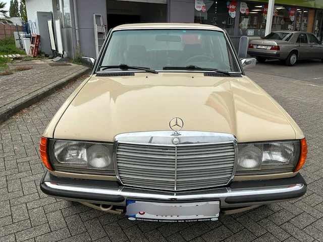 Mercedes-benz 240 d w123 240 d w123 voorouders - afbeelding 46 van  47