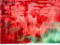 Merel van beeumen - adembenemend rood - litho - afbeelding 6 van  6