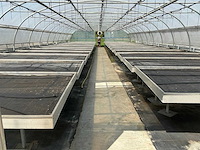 Met watersproeisysteem kweektafel (26x) - afbeelding 1 van  5