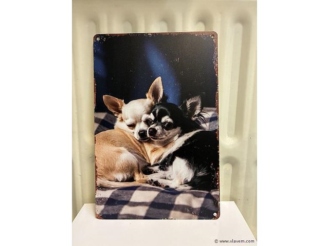 Metalen bord - afbeelding 1 van  1