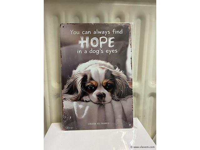 Metalen bord - afbeelding 1 van  1