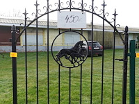 Metalen poort - afbeelding 1 van  4