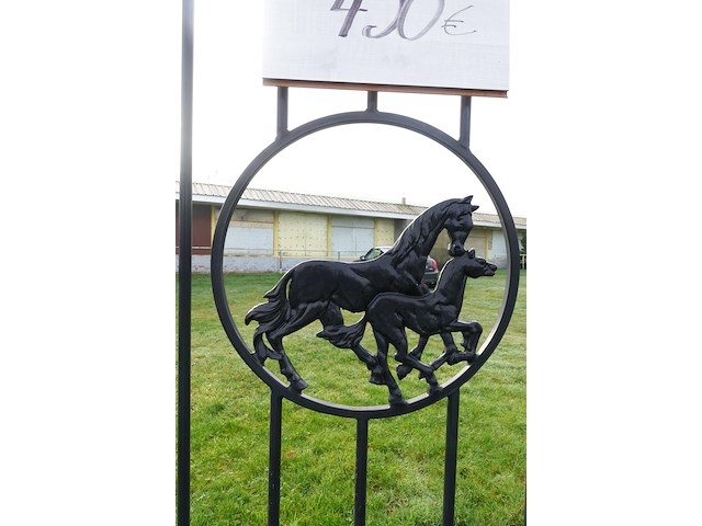 Metalen poort - afbeelding 3 van  4