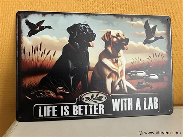 Metalen sierbord - afbeelding 1 van  1