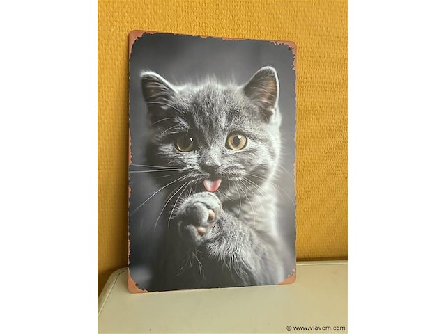 Metalen sierbord - afbeelding 1 van  1