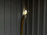 Metalen tuinhok - afbeelding 6 van  6