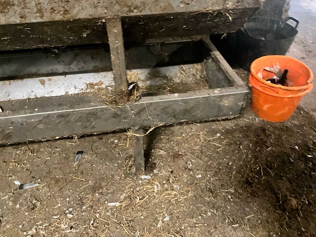 Metalen voederbakken (2x) - afbeelding 4 van  5