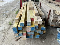 Metsprofiel (60x) - afbeelding 2 van  3