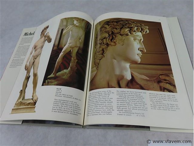 Michelangelo - afbeelding 3 van  3