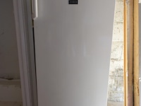 Microgolf proline + diepvries zanussi - afbeelding 4 van  6