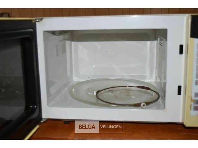 Microgolfoven - afbeelding 3 van  3