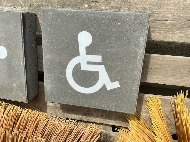 Mindervalide tegel 30 x 30 steen tuintegel (2x) - afbeelding 2 van  2