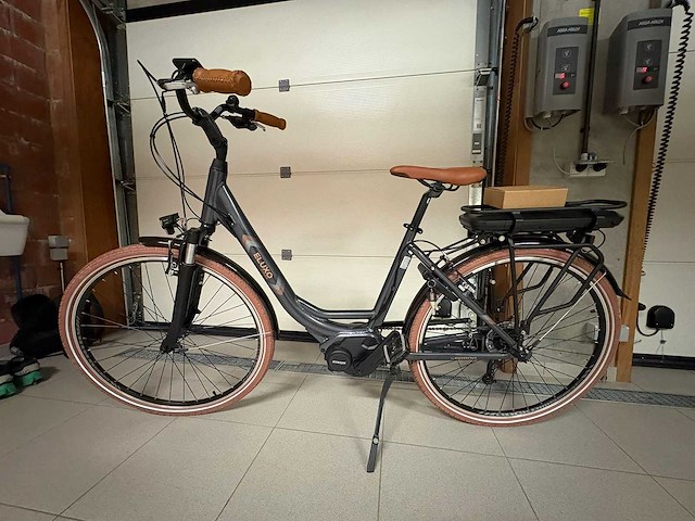 Minerva eluxo e-power elektrische fiets - afbeelding 1 van  6
