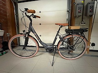 Minerva eluxo e-power elektrische fiets - afbeelding 1 van  3