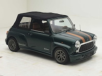 Mini cabrioni 1000 - afbeelding 50 van  53