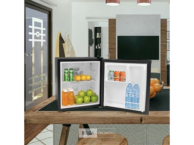 Mini koelkast - thermo-elektrisch - afbeelding 2 van  3