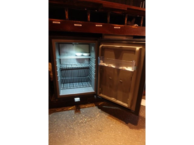 Mini koelkast tefcold - afbeelding 1 van  2