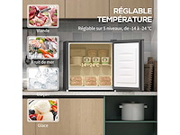 Mini vriezer instelbare temperatuur van -14 tot -24°c compact 35l - afbeelding 4 van  6