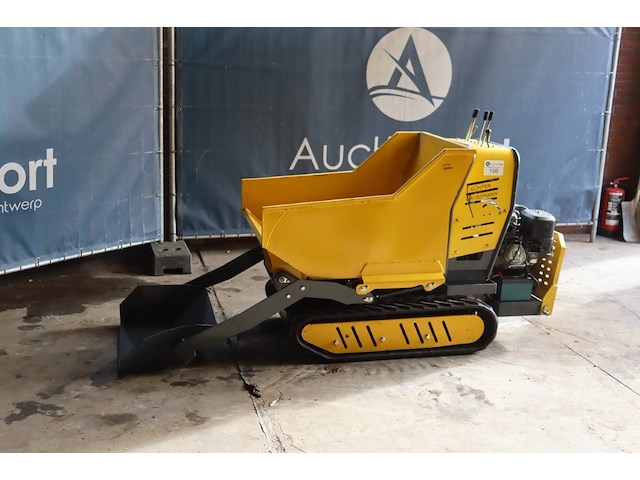 Minidumper günter grossmann 13.5pk - afbeelding 1 van  1