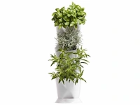 Minigarden - corner (50x) - afbeelding 2 van  4