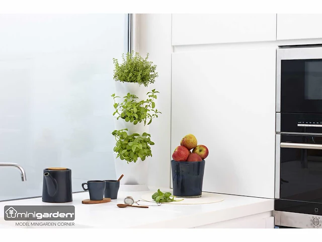 Minigarden - corner (50x) - afbeelding 3 van  4