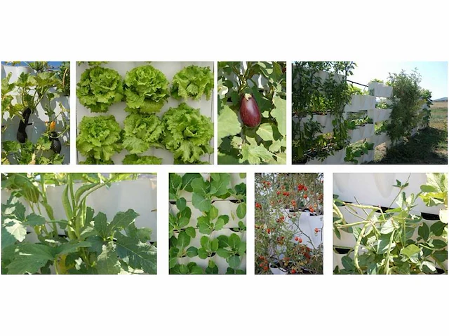 Minigarden - dubbelzijdig wit - farm module (55x) - afbeelding 3 van  3