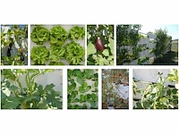 Minigarden - dubbelzijdig wit - farm module (55x) - afbeelding 3 van  3