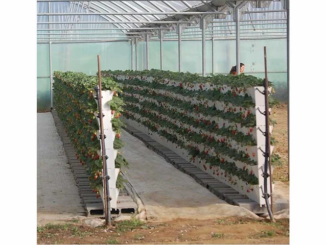 Minigarden - dubbelzijdig wit - farm module (55x) - afbeelding 1 van  3