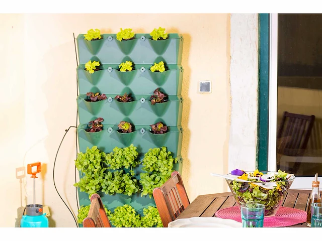 Minigarden - groen - overige teeltmateriaal; (7x) - afbeelding 1 van  3