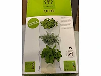 Minigarden - one (6x) - afbeelding 1 van  1