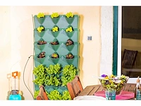 Minigarden - zwart - kitchen garden (5x)