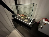 Mobiele escaperoom - afbeelding 16 van  38