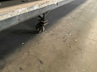 Mobiele metalen werktafel - afbeelding 3 van  4