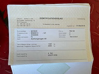 Mobiele stroomgenerator - afbeelding 10 van  22