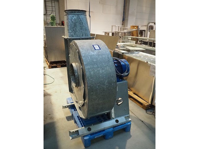 Modesta - afbeelding 1 van  9