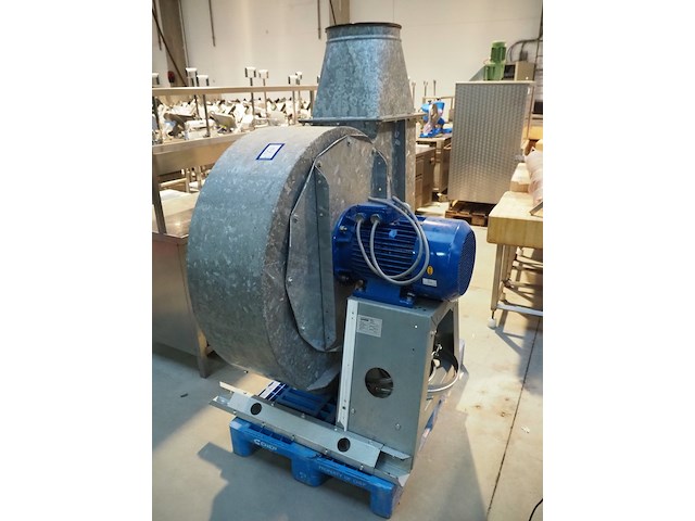 Modesta - afbeelding 2 van  9