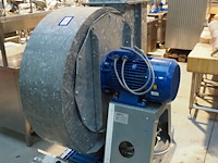 Modesta - afbeelding 2 van  9