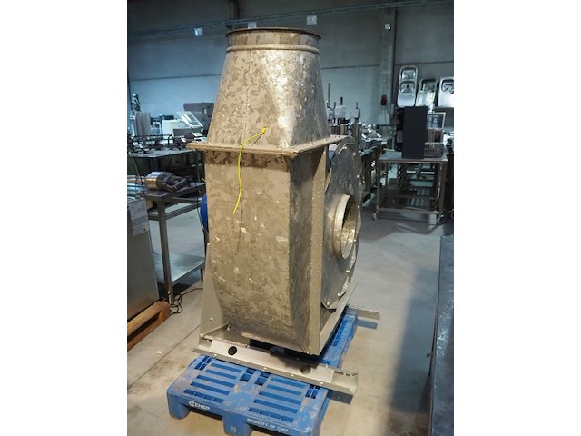 Modesta - afbeelding 3 van  9