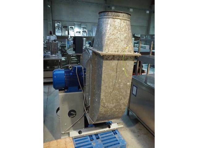 Modesta - afbeelding 4 van  9