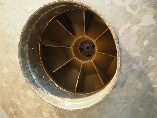 Modesta - afbeelding 6 van  9