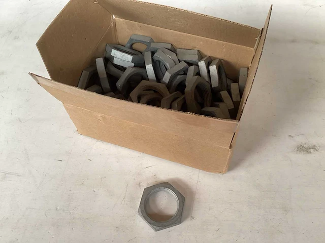 Moer m36, vlak model (50x) - afbeelding 1 van  3