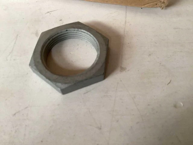 Moer m36, vlak model (50x) - afbeelding 2 van  3