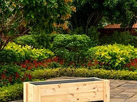 Moestuin snuggly rosaly 125 flowerbox - afbeelding 9 van  10