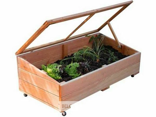 Moestuinbak, afm 50x100x36 cm - afbeelding 1 van  1