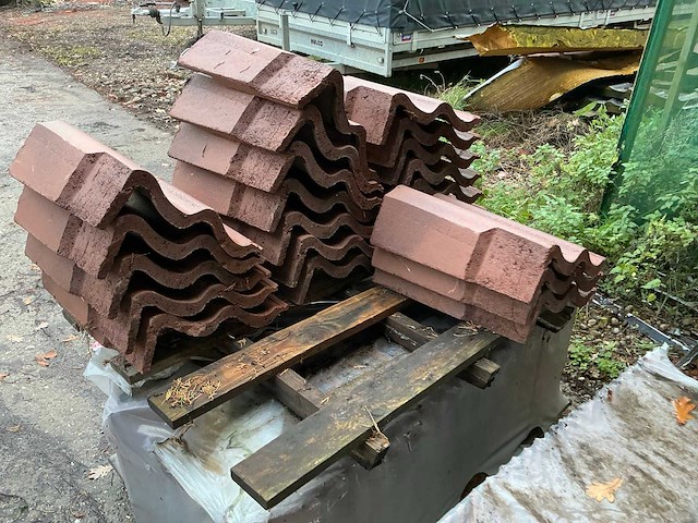 Monier grote partij diverse betonpannen - afbeelding 11 van  19